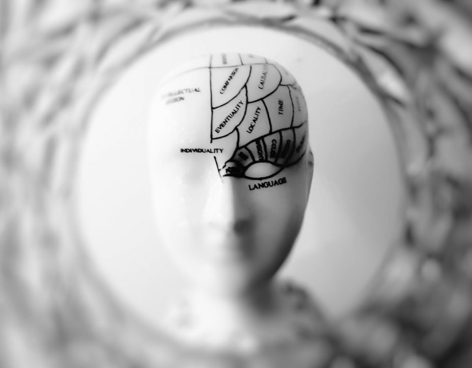 Упаковка и презентация продукта с точки зрения нейронаук